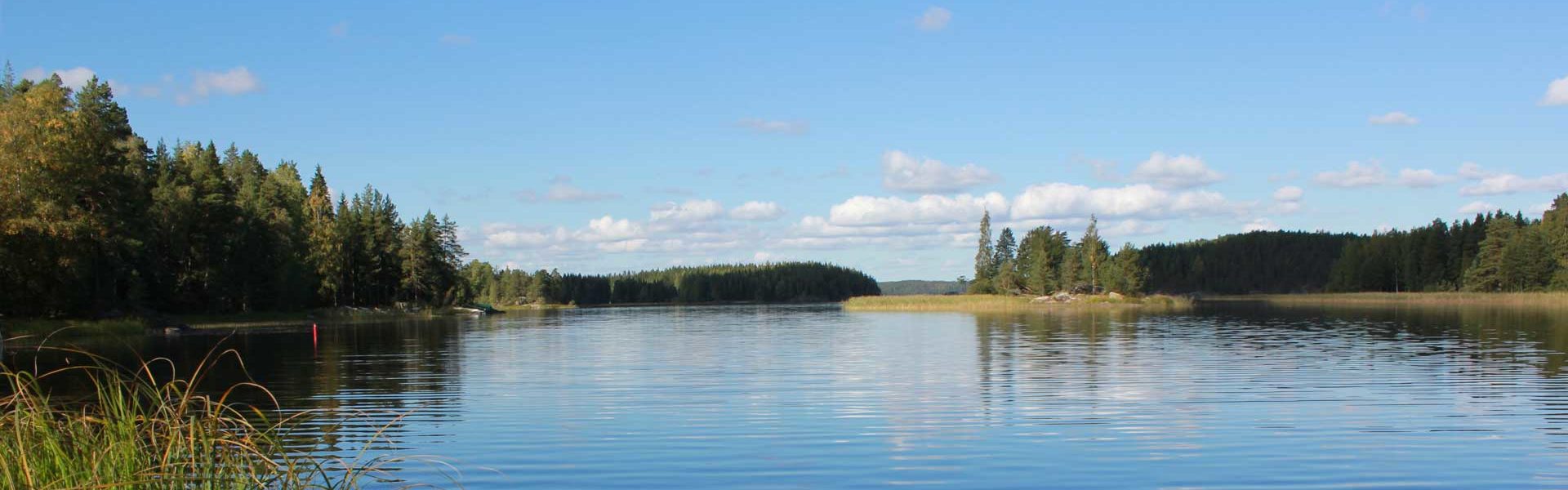 Järvimaisema Vaskivedeltä